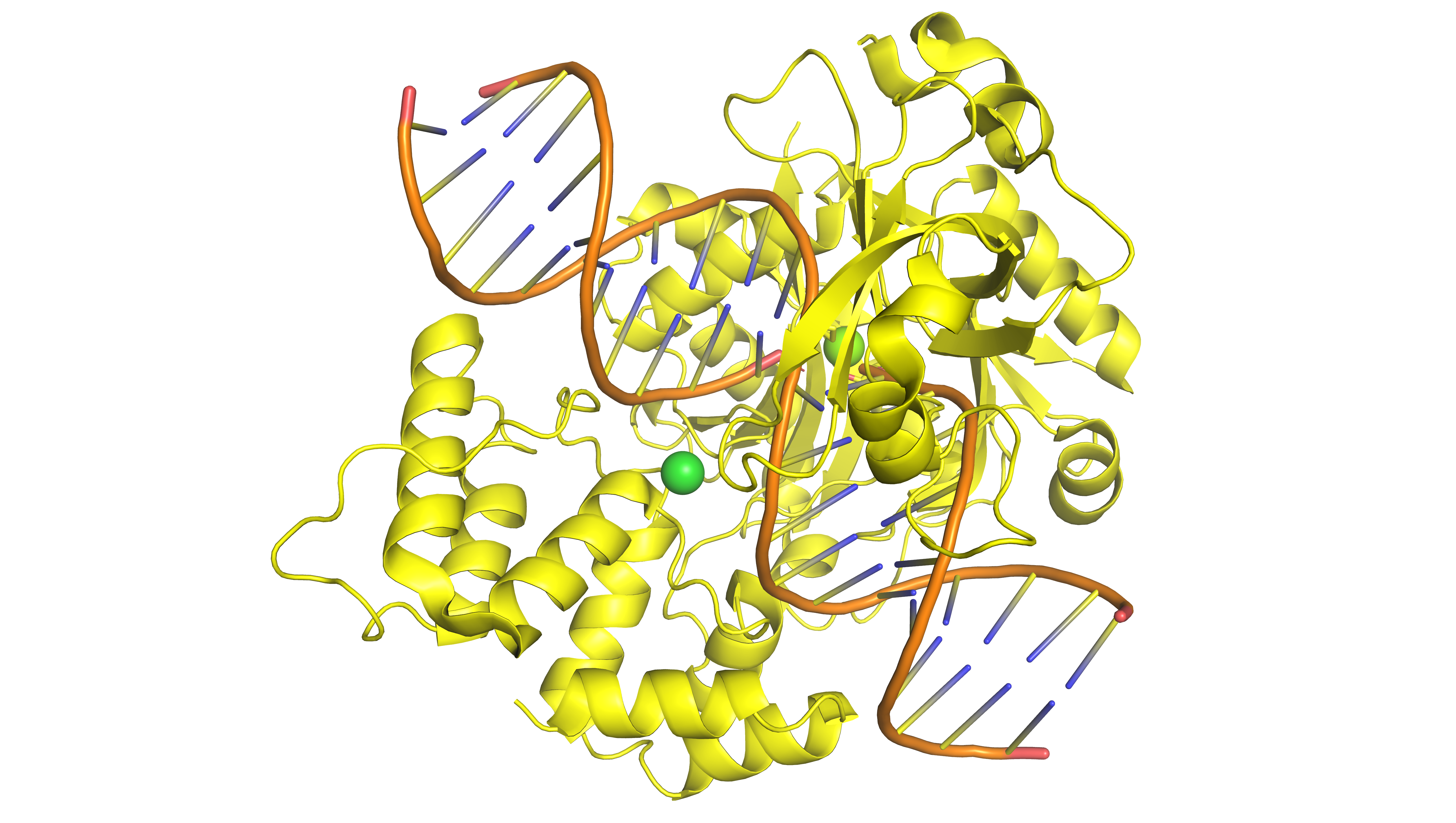 ATP-dep. DNA ligase