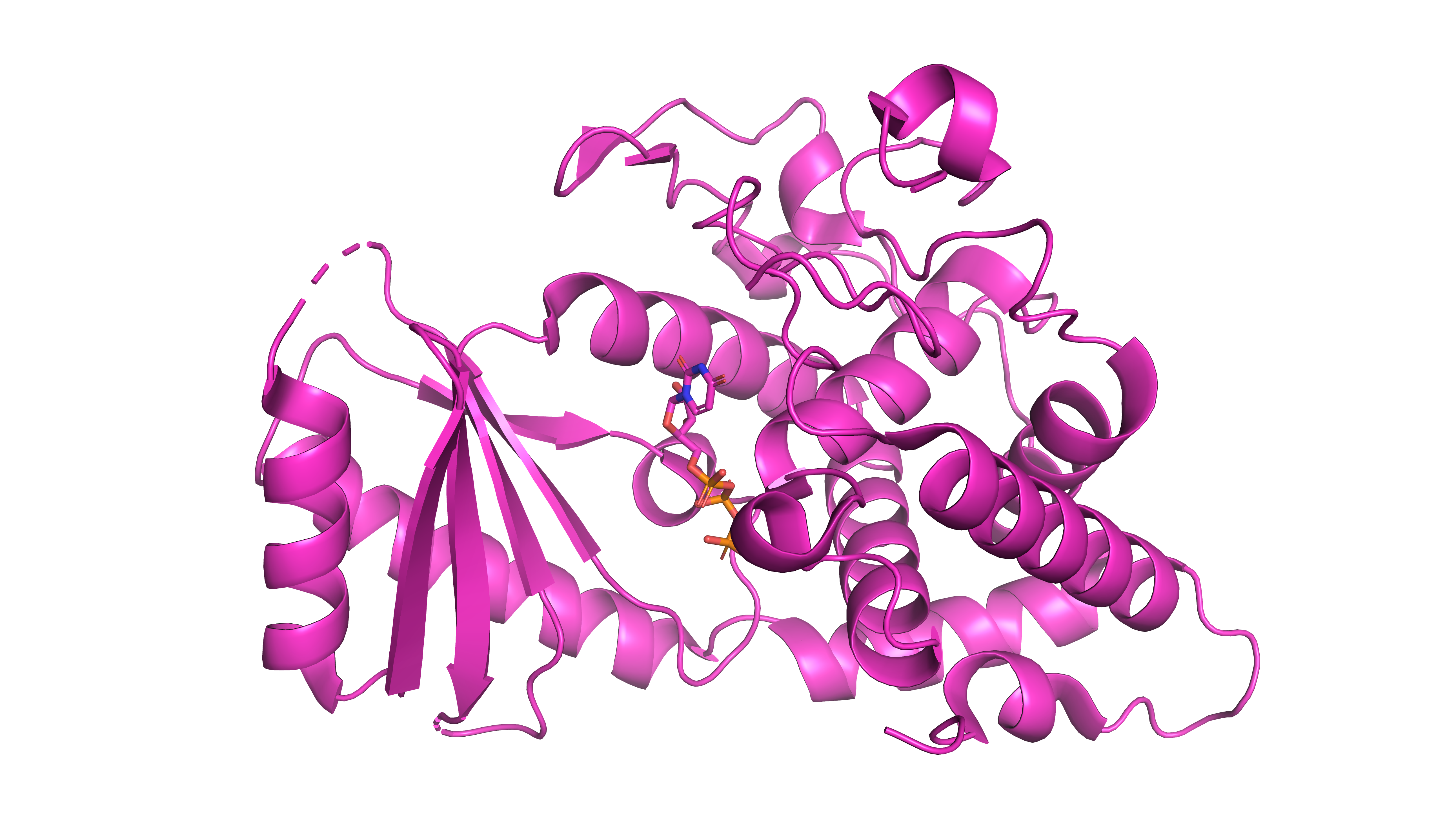 Poly(U) RNA Polymerase