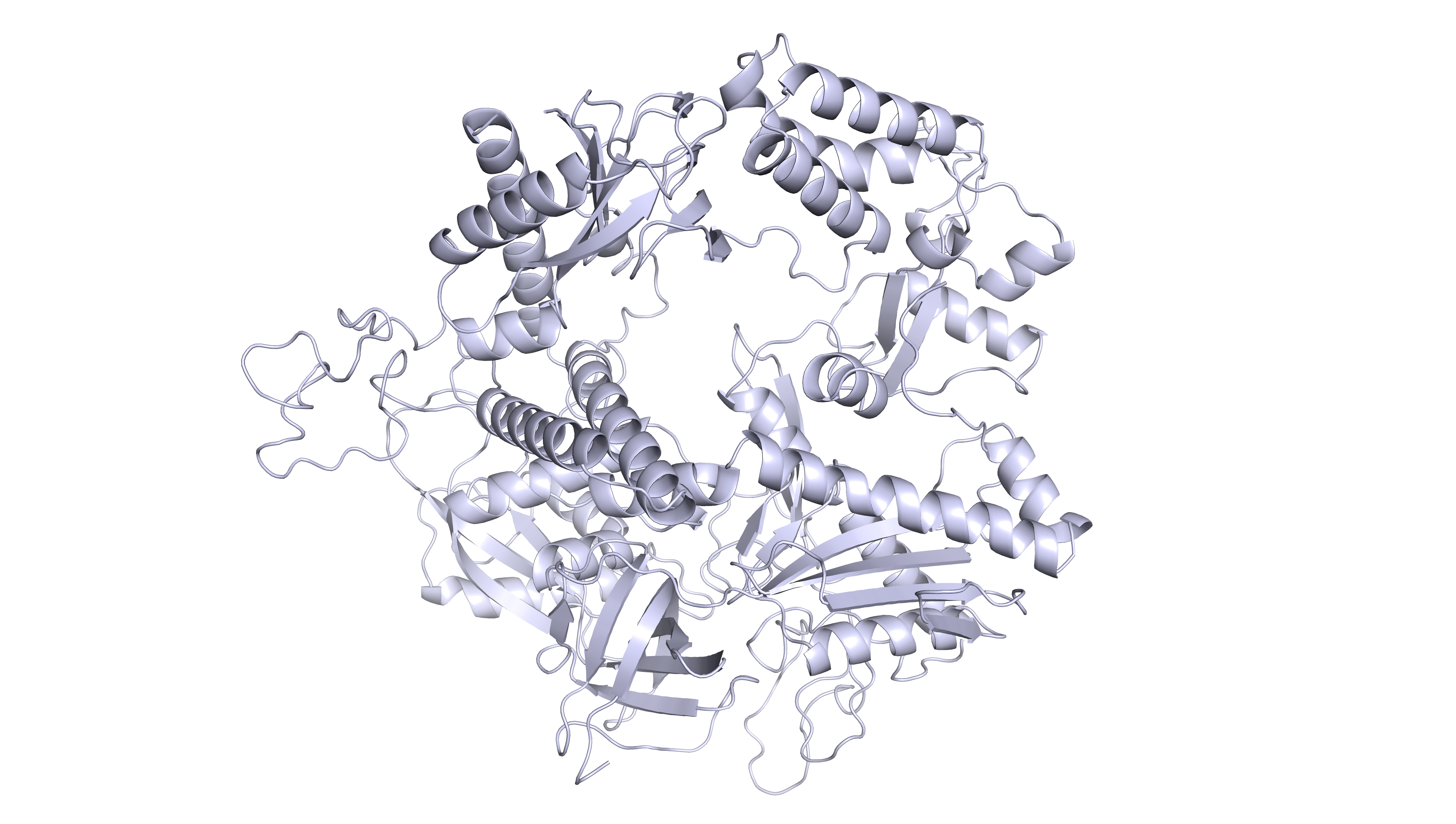 Primase-Polymerase