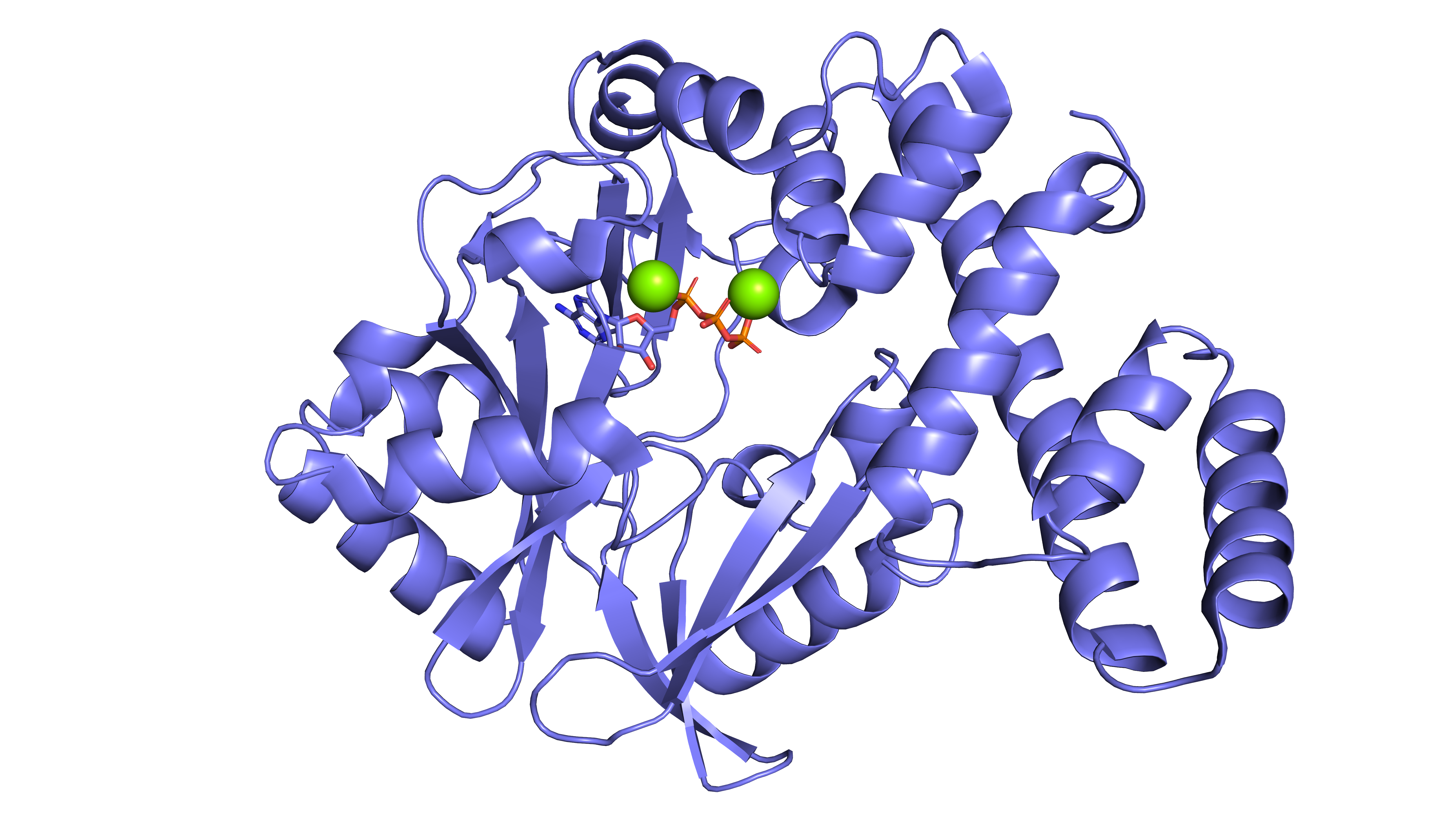 RNA ligase 1