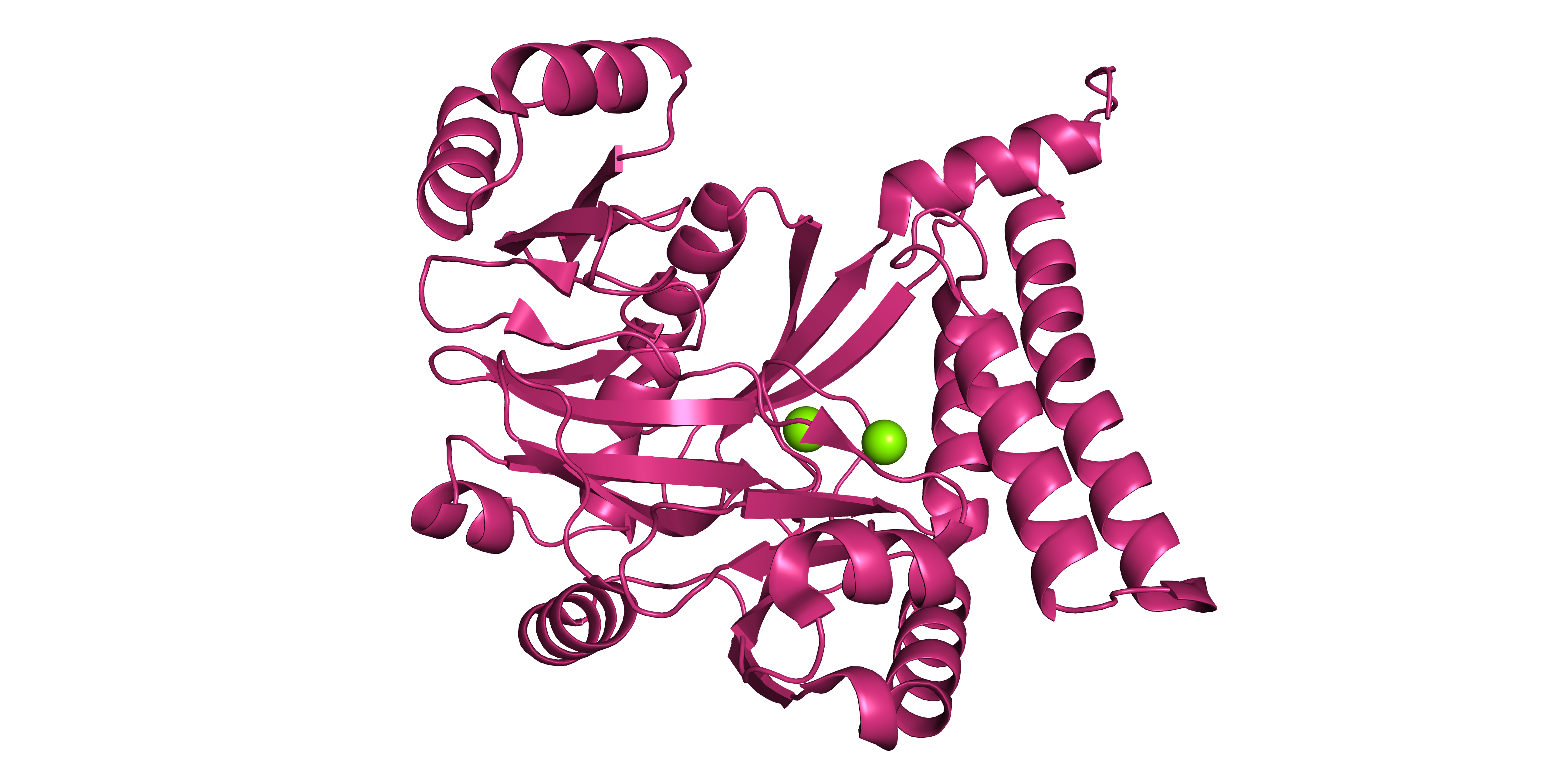 RNA ligase 3