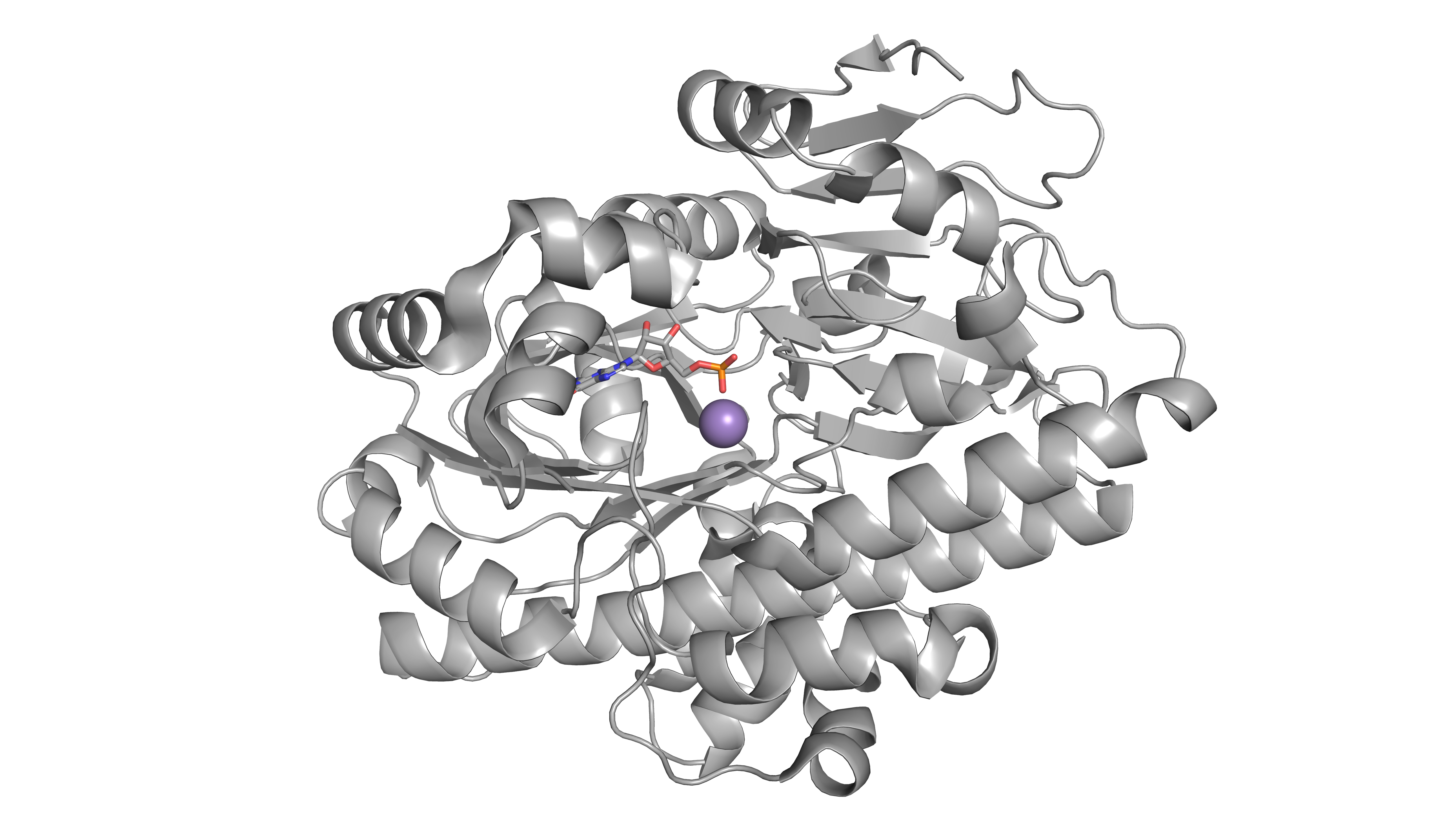 RNA splicing ligase